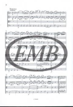 Eine kleine Nachtmusik K 525 von Wolfgang Amadeus Mozart 