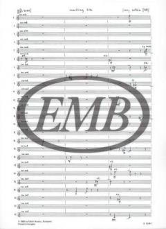 Something Like von Zoltan Jeney 