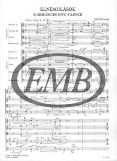 Subsidences into Silence von Istvan Vantus 