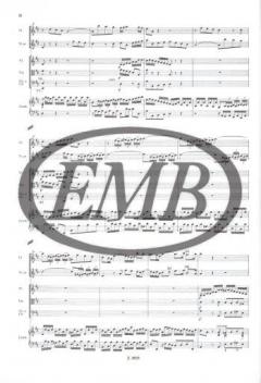 Brandenburgisches Konzert Nr. 5 BWV 1050 (J.S. Bach) 