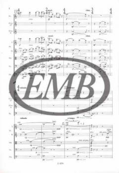 Reflections von Istvan Vantus 