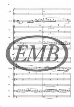 Raga di notte von György Ranki 