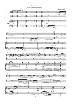 Terzetto von Anders Koppel 