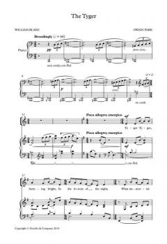 The Tyger von Owain Park 