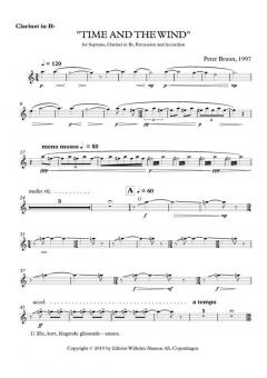 Time And The Wind von Peter Bruun 