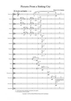 Pictures From A Sinking City von Maja S.K. Ratkje 