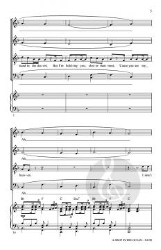 A Drop in the Ocean von Zach BerkmanRon Rope 