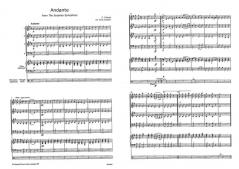 Andante (Surprise Symphony) von Joseph Haydn (Download) 