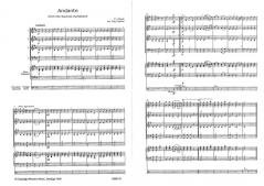 Andante von Joseph Haydn (Download) 