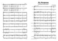 Sly Mongoose (Download) 