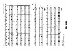 Tiger Rag (Download) 