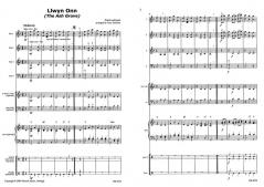 Ash Grove (Llwyn Onn) (Download) 