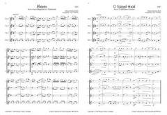 A Bach Collection for Flute Ensemble von Johann Sebastian Bach (Download) 