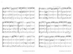 Three Joplin Rags for Four Flutes von Scott Joplin (Download) 