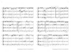 Three Joplin Rags for Two Flutes & Two Clarinets von Scott Joplin (Download) 