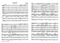 Serenade (Leise flehen meine Lieder) von Franz Schubert (Download) 