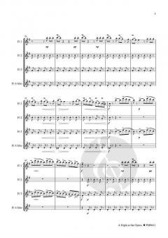 A Night at the Opera 