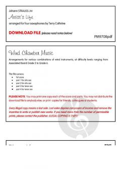 Künstlerleben von Johann Strauss (Sohn) 