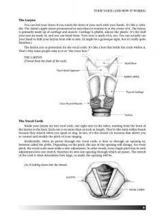 Vocal Technique von Dena Murray 