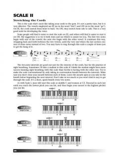 Vocal Technique von Dena Murray 
