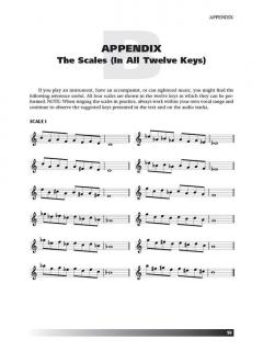 Vocal Technique von Dena Murray 