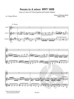 Sonata in A Minor BWV 1029 von Johann Sebastian Bach 