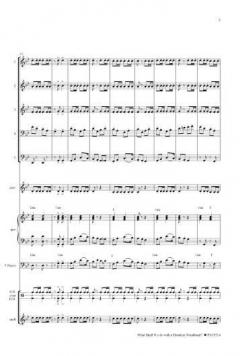 What Shall We Do With A Drunken Windband? (Download) 