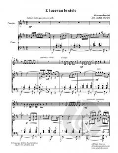 E luce van le stelle - Aria von Giacomo Puccini 