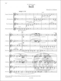 Saxotonics 2 von Heinrich von Kalnein 