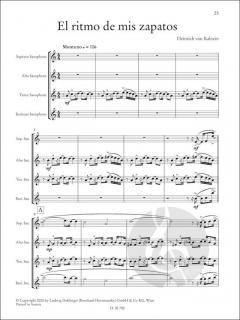 Saxotonics 2 von Heinrich von Kalnein 