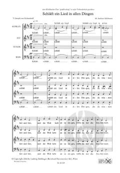 Schläft ein Lied in allen Dingen von Andreas Salzbrunn 