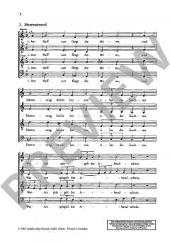 Storm-Lieder Band 2 von Felicitas Kukuck (Download) 