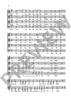 Storm-Lieder Band 2 von Felicitas Kukuck (Download) 