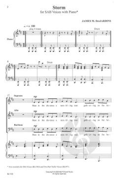 Storm von DesJardins, James M. 