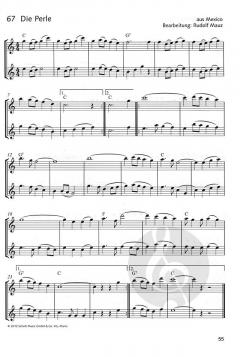 Die fröhliche Querflöte Band 2 von Gefion Landgraf im Alle Noten Shop kaufen