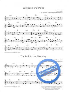 The Irish Flute Book 