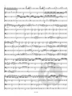 Streichquartett C-Dur von Friedrich Witt im Alle Noten Shop kaufen