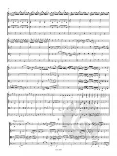 Streichquartett C-Dur von Friedrich Witt im Alle Noten Shop kaufen