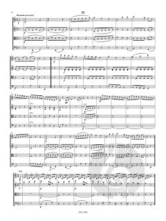 Streichquartett C-Dur von Friedrich Witt im Alle Noten Shop kaufen