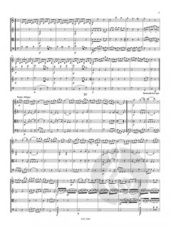 Streichquartett C-Dur von Friedrich Witt im Alle Noten Shop kaufen