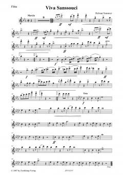 Viva Sanssouci von Helmut Sommer 