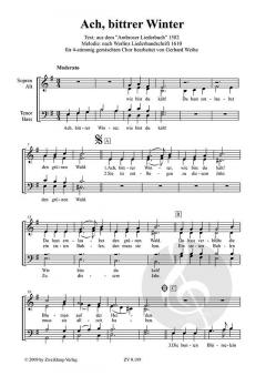 Ach, bittrer Winter 