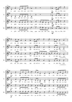 Ach, ich hab´ in meinem Herzen - Klavierstimme von Norbert Schultze im Alle Noten Shop kaufen