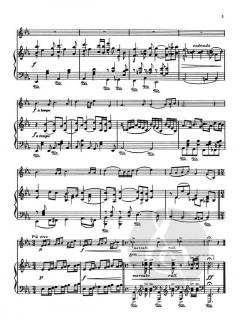 Premier Solo de Concours von René Maniet 