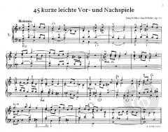45 kurze leichte Vor- und Nachspiele von Schäfer, Joseph Matthias 
