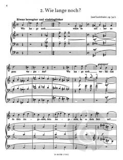 Advent von Josef Lechthaler 