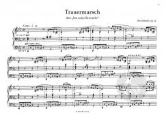 Ausgewählte freie Orgelwerke von Otto Dienel im Alle Noten Shop kaufen