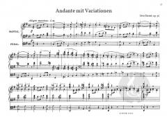 Ausgewählte freie Orgelwerke von Otto Dienel im Alle Noten Shop kaufen