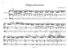 Ausgewählte freie Orgelwerke von Otto Dienel im Alle Noten Shop kaufen