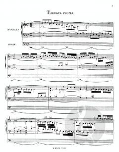 Ausgewählte Orgelwerke 2 von Sebastian Scherer im Alle Noten Shop kaufen